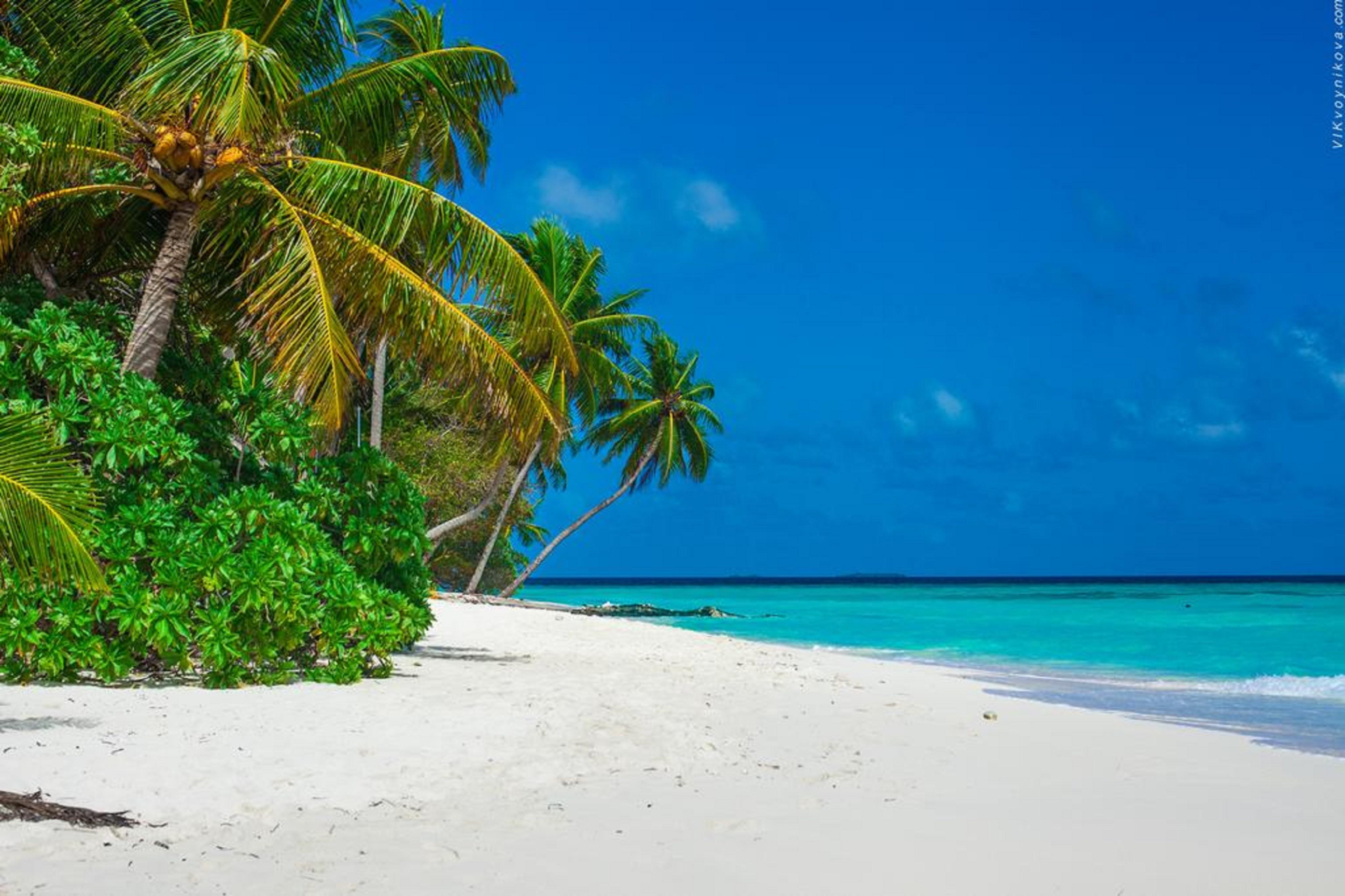 Stingray Beach Inn Maafushi Exterior photo